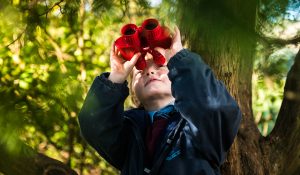 Curious child looking through red binoculars