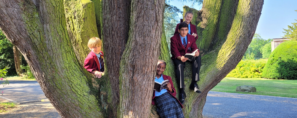 A group of Holmwood students sitting on a tree.