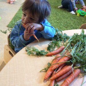 child holding a grown carrot